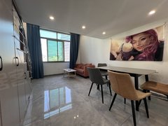 丽水莲都天宁万地附近 复试loft 网红公寓 一室一厅 全屋定制中央空调出租房源真实图片