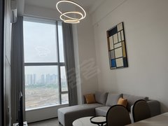 佛山南海金融高新区全新复式2房出租，4.5米公寓出租房源真实图片