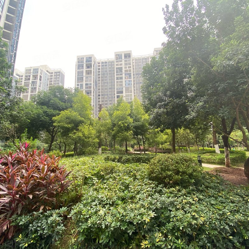 市公务员小区小区详情,房价走势,房源,业主论坛】- 玉林58同城