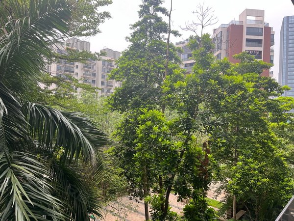 广州海珠琶洲会展世界城水蓝郡花园4房2卫,花园中心安静出租房源真实