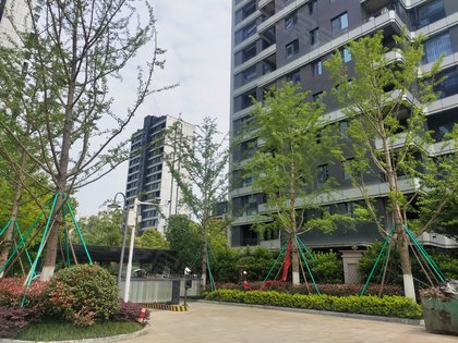 碧桂园珑悦