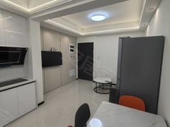 台州温岭城西恒隆商业街旁 环湖佳苑2室一厅 双朝南 带阳台 精装修 出租出租房源真实图片
