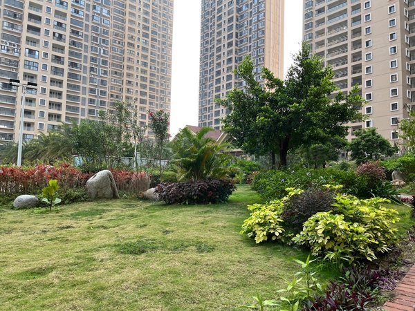 三亚三亚周边陵水珍珠名邸业主急租 陵水高端小区 珍惜名邸4房2卫