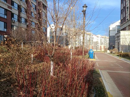 宏业玉墅湾,文兴南路,近龙玉街 - 葫芦岛宏业玉墅湾二手房,租房,房价