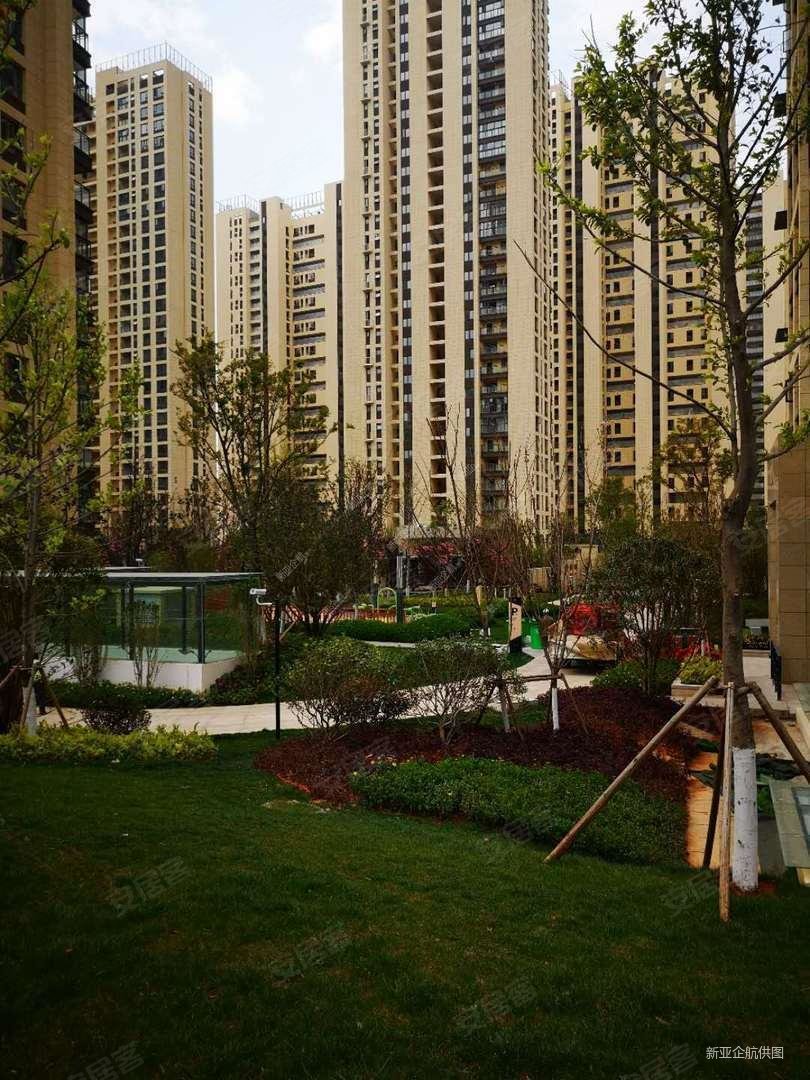 蓝光林肯公园一期(悦山苑) 商品房 板楼 朝向好 双卫