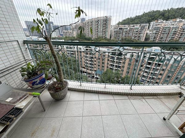 深圳宝安西乡丽景城可合租 看花园安静12号线客运站 丽景城精装三房