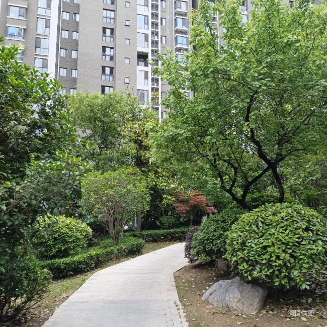 徐州房产网>徐州二手房>泉山二手房>段庄广场二手房>天山绿洲四期观湖