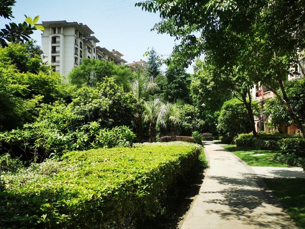 杭州余杭中泰新明半岛(公寓住宅)新明半岛幼儿园小学近在咫尺,精装