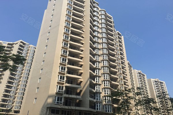 厦门二手房 东坪花园(一期) > 陈伟锋解读东坪花园(一期)小区设施