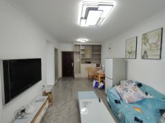高新区 地铁口 蓝海雅苑(B区) 精装2居室 拎包入住
