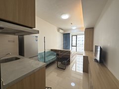 东莞莞城莞城中心万科中心 1室0厅1卫  电梯房 精装修31平米出租房源真实图片