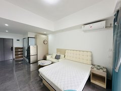 东莞莞城罗沙东城天宝地铁口，电梯入户舒适大套房，家私家电齐全拎包入住出租房源真实图片