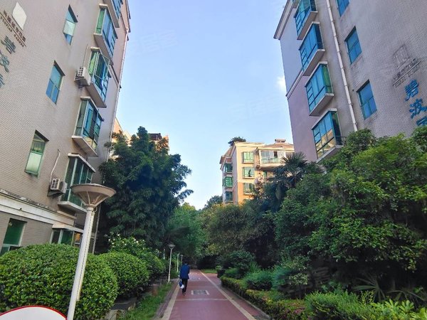 贵阳小河经开区小河转盘香江花园香江花园步梯二楼,精装两室出租.