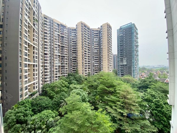 广州白云金沙洲中粮万科金域蓝湾金域蓝湾 b区三期望花园三房 中心