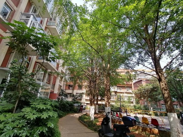 昆明五华小西门新闻南路63号小区五华区西山区房屋直租无中介费西坝路