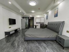 宜春袁州实验中学润达国际 百尚城精装公寓发租几十套无中介随时看房交通便利出租房源真实图片