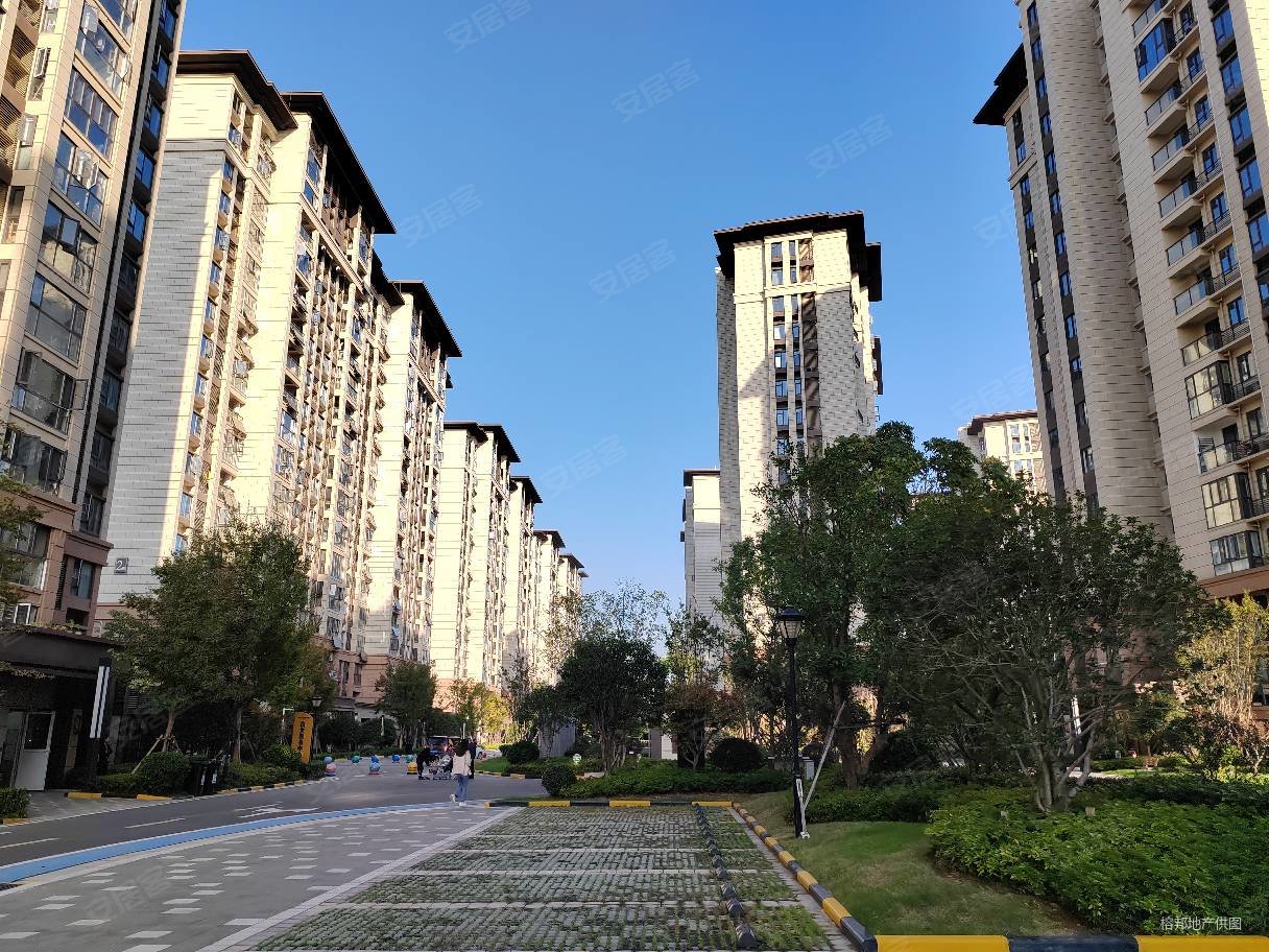 大华公园华府老证次新房双卫格局南北通透产权清晰