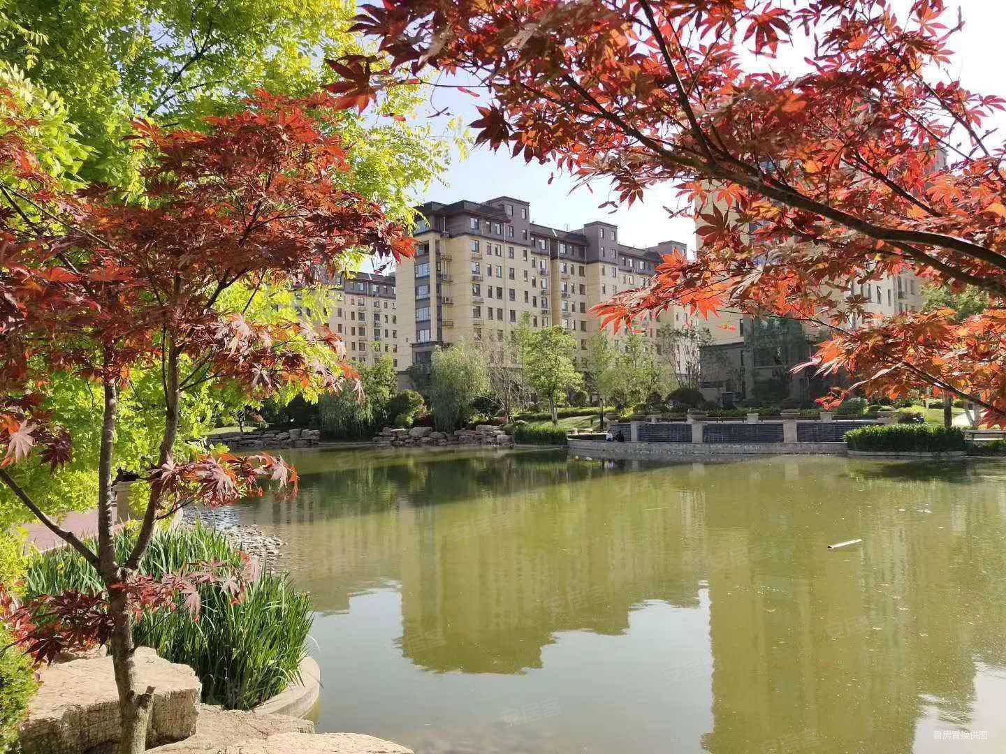 临沂房产网>临沂二手房>郯城二手房>城区二手房>星空喜园>