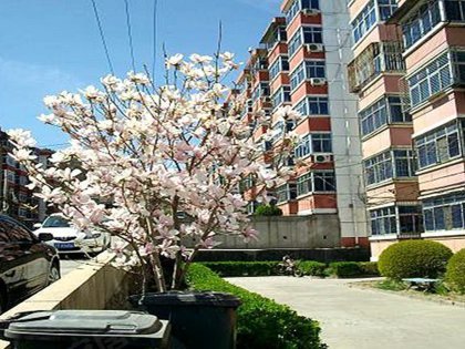 桃园小区(门头沟)