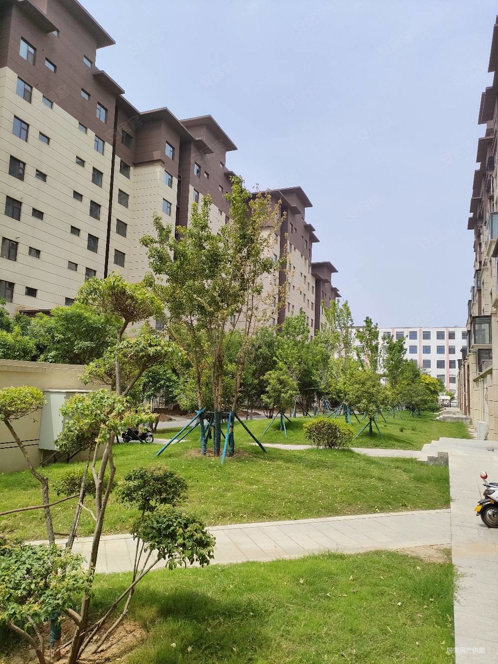 宜阳锦龙桥旁锦龙花园电梯洋房南北通透全明户型超值售