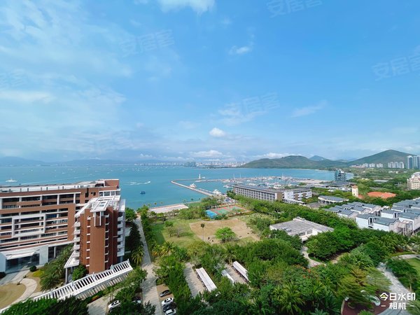 【多图】复地鹿岛,鹿回头租房,复地鹿岛东边户四房,高层海景,环形大