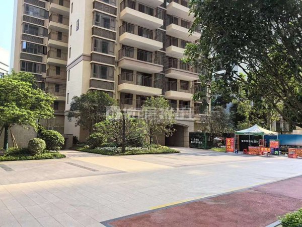 【多图】龙光君御华府翰林,五象广场租房,金湖商圈长湖路 龙光君御