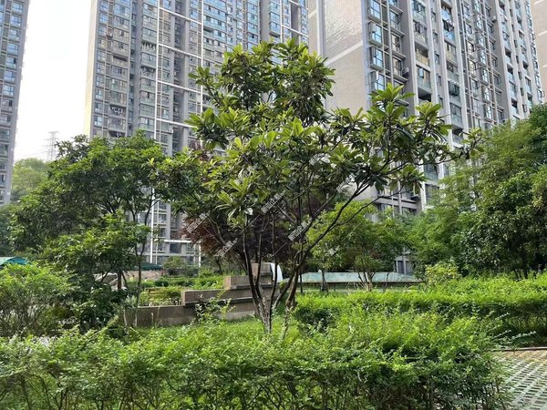 高新区茅台大厦旁龙宇苑精装两房 业主降价出租家电全齐拎包入住