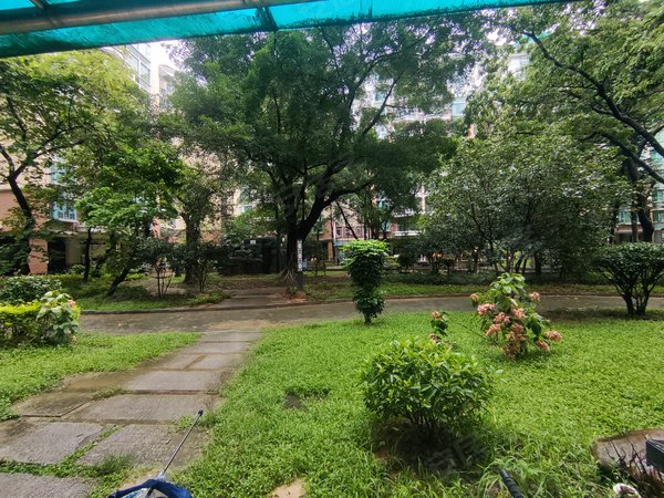 广州白云京溪云景花园云枫苑居家推荐来咯 云景花园大三房115平 南北