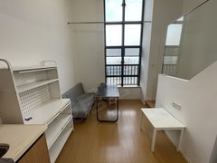 深圳龙岗大运启迪复式 一房一厅 可以短租出租房源真实图片