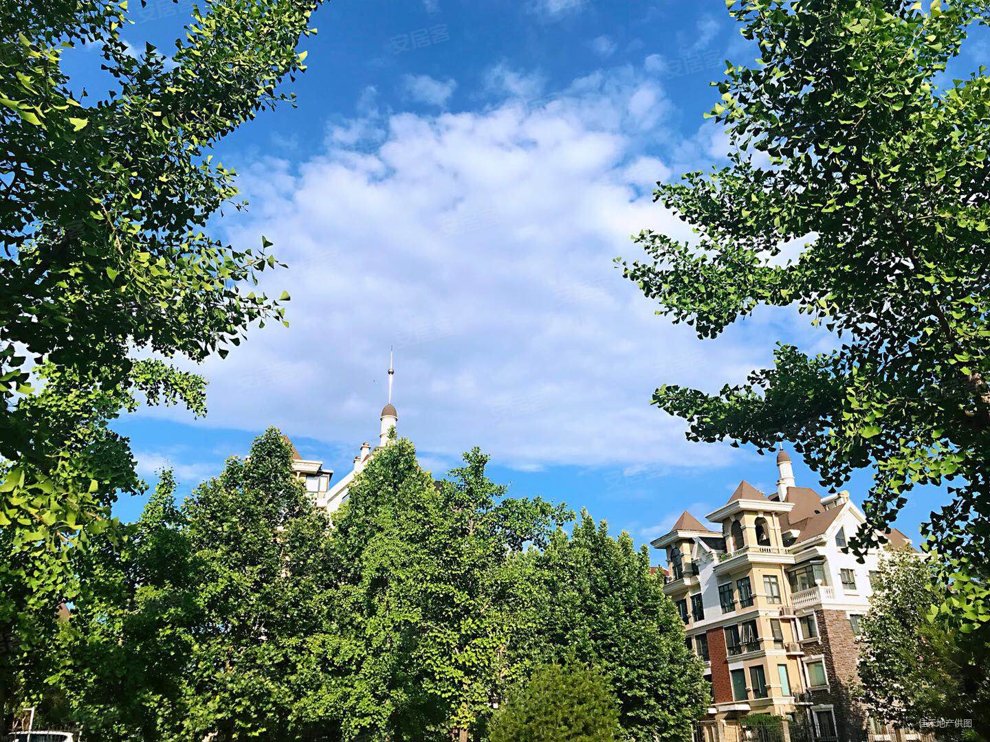 中央别墅区 洋房精装 南北通透,丽喜南苑二手房,298万,2室2厅,2卫,93