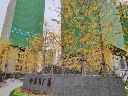 黄祥伟解读奥马广场轨道交通