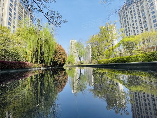 【多图】仁恒西郊花园,徐泾租房,(精耕仁恒)(新出三房高楼层采光好)