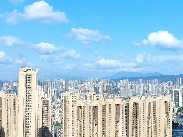 深圳南山蛇口湾厦新村蛇口双地铁 精装loft 停车方便 物业直租 拎包