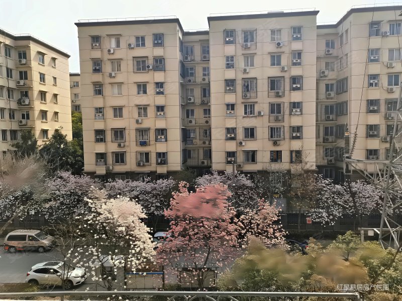 武汉房产网>武汉二手房>洪山二手房>街道口二手房>竹苑小区东区>800