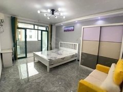 上海闵行七宝九号线地铁口 水清年华 电梯房 豪华装修 拎包入住 房型正气出租房源真实图片