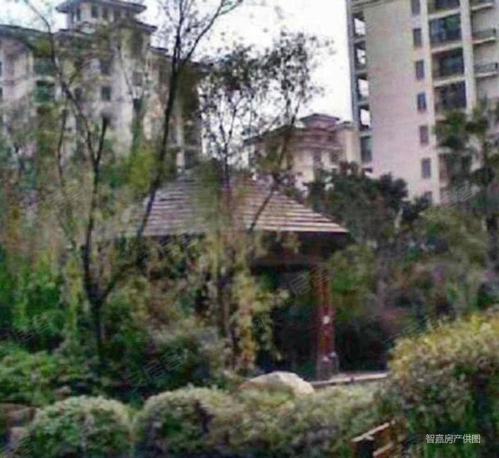 银河湾紫苑  洋房精装3房 着急卖 急疯了 几个可以谈