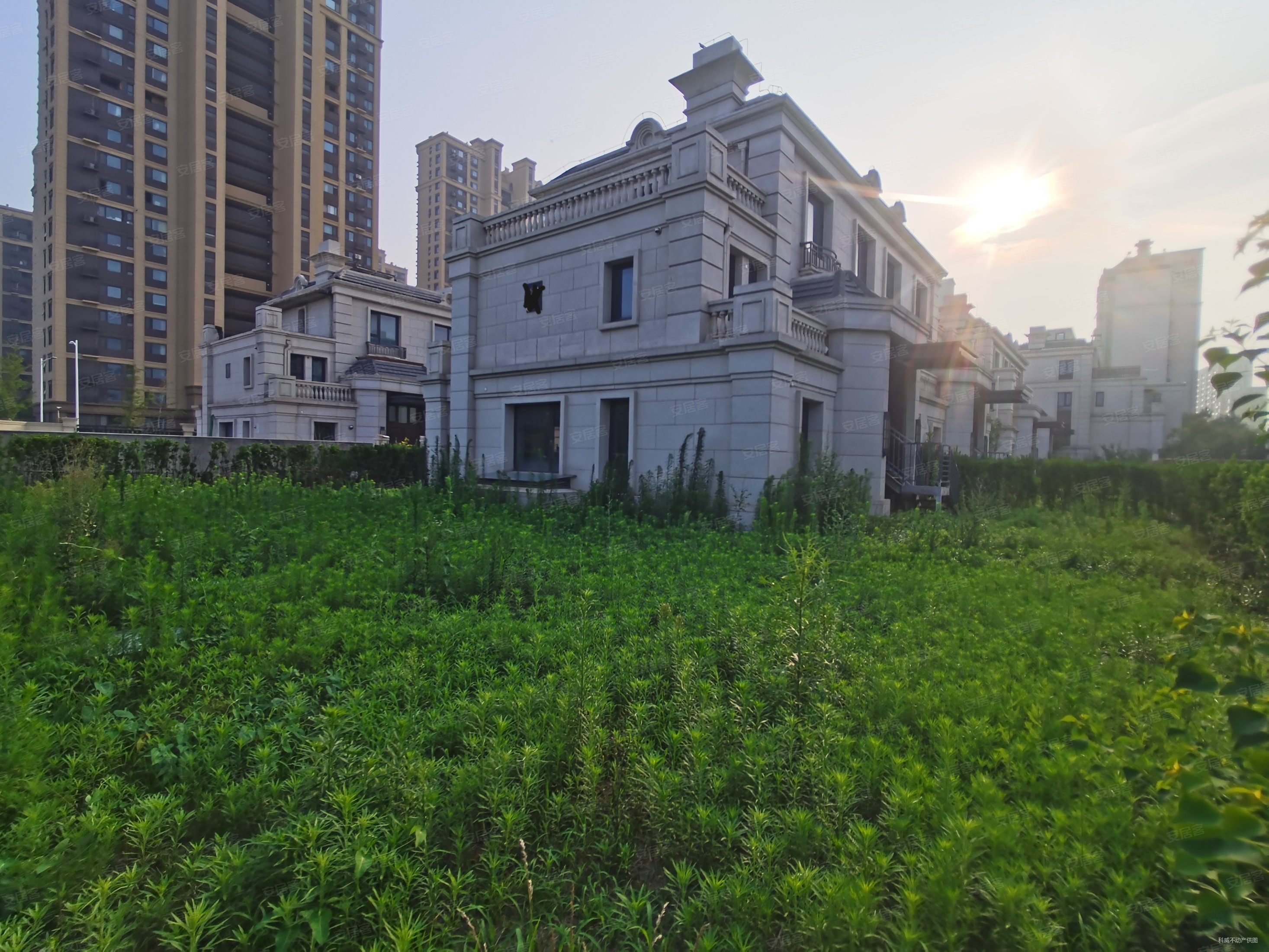 青岛金茂墅图片