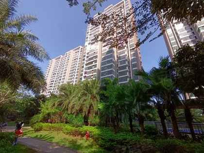 文博府b区,富康路18号 - 海口文博府b区二手房,租房,房价-海口安居客