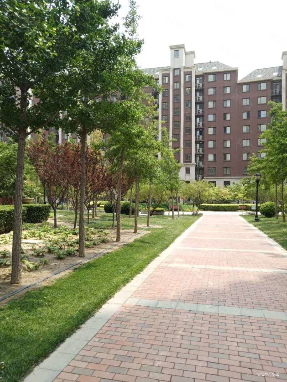 艾力枫社高尔夫花园3室2厅2卫145㎡南北225万