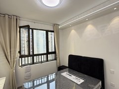 合肥新站陶冲湖新店雅苑 2房 配置齐全 全天采光 毗邻京东方 维信诺 晶合出租房源真实图片