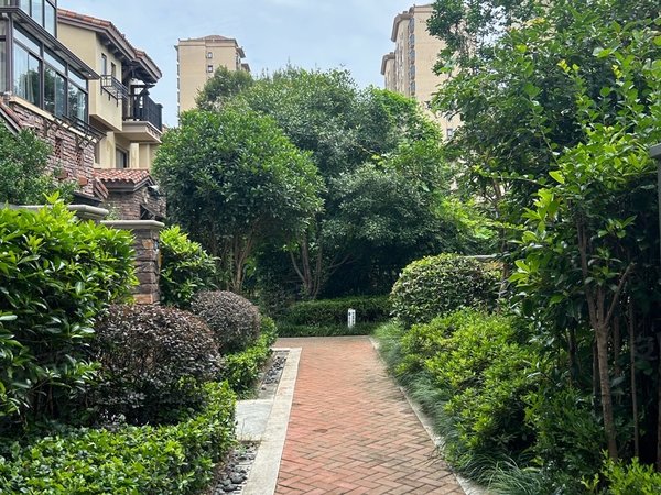 苏州工业园青剑湖金辉优步花园优步花园精装3房  保养好诚心租 洋房有