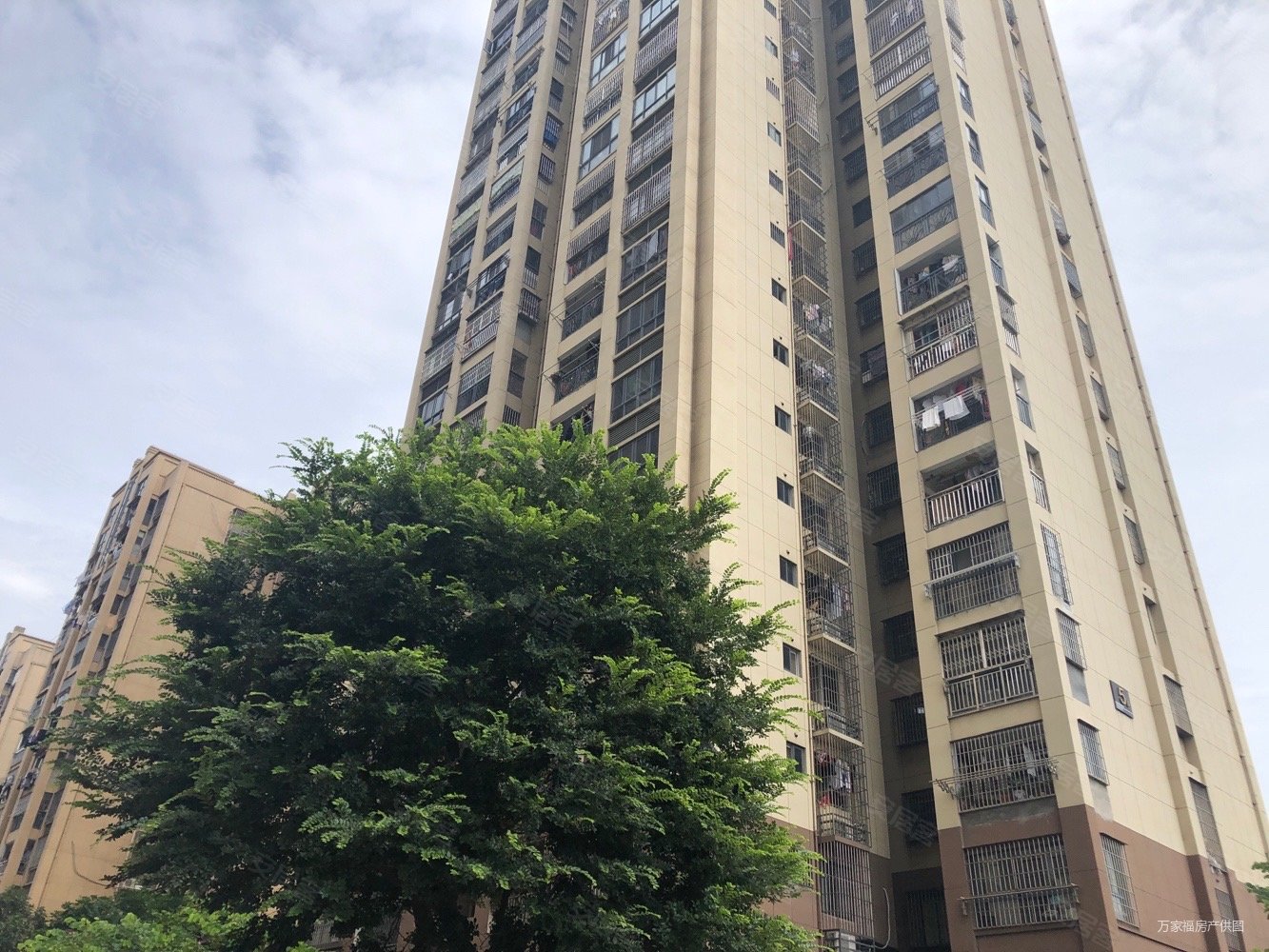 园山新苑1室1厅1卫46南105万