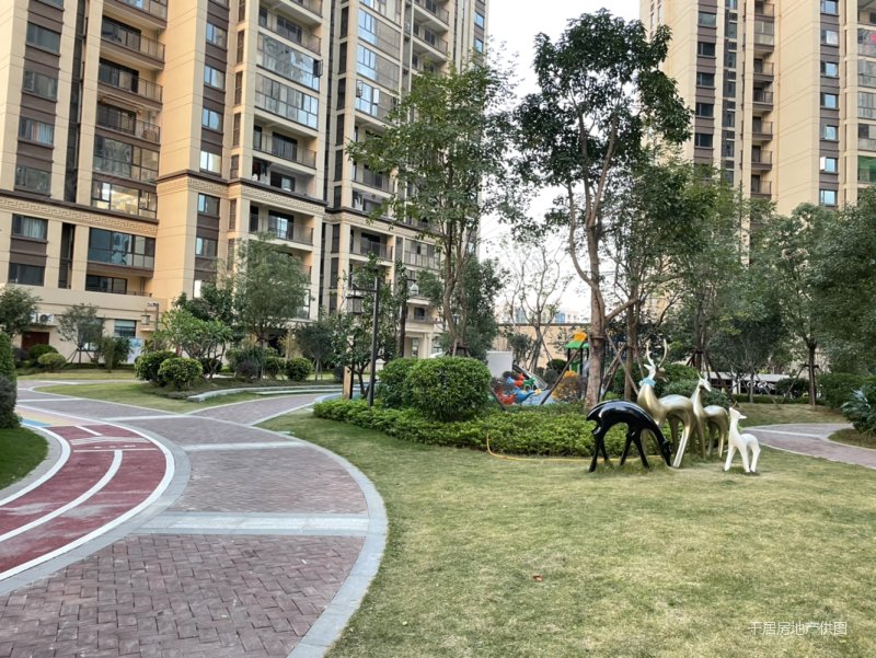 景园合著,新  大产权,南安大霞美星城新天地旁,成熟大社区