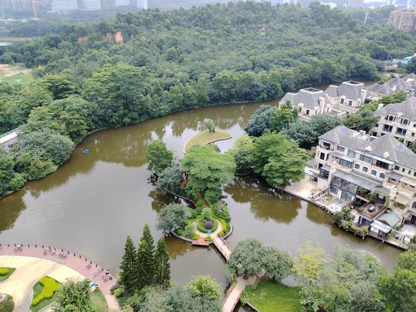 深圳龙华观澜金地塞拉维花园鹭湖一号 豪装复式 度假酒店式的美景