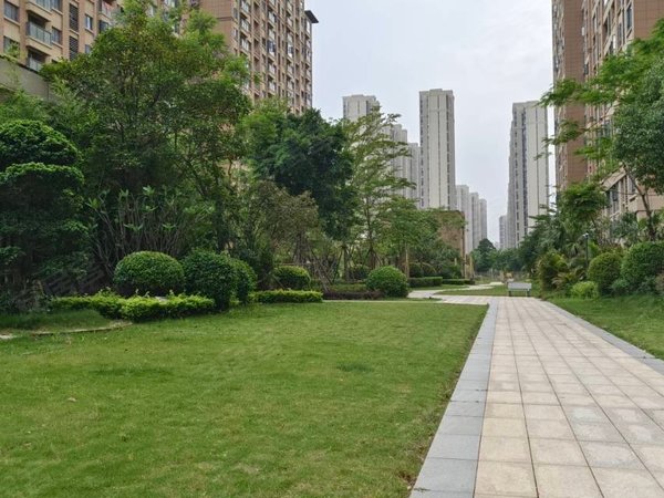 永春宝龙世家(池店)龙湖旁 宝龙世家 全新精装3房2厅2卫出租 高层采光