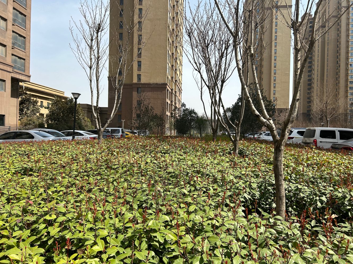 西安房产网>西安二手房>高陵二手房>泾渭新城二手房>龙泊湾>1333_1000