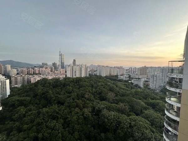 【多图】云顶翠峰(三期),皇岗租房,新上 云顶翠峰(三期) 3室2厅2卫