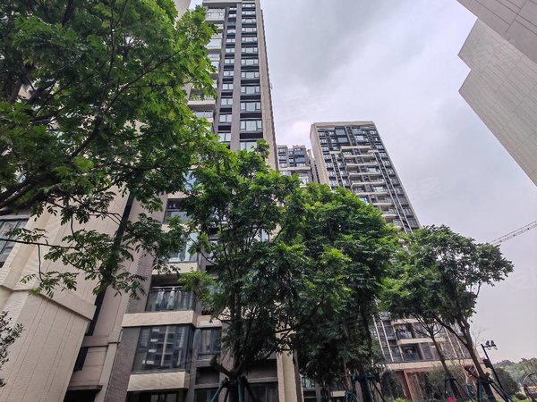 广州天河小新塘保利天汇保利天汇新出好房 高层 全屋定制衣柜 封了