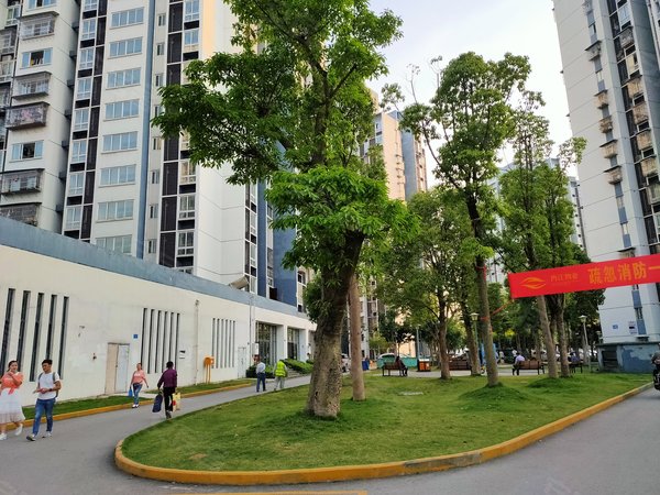 重庆北碚复兴和欣家园和欣家园 2室2厅1卫 64平 1之路出租房源真实