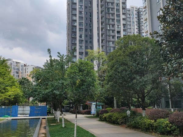 昆明五华高新区华飞新域盛景地铁口明厨明卫拎包入住标准4房,带阳台